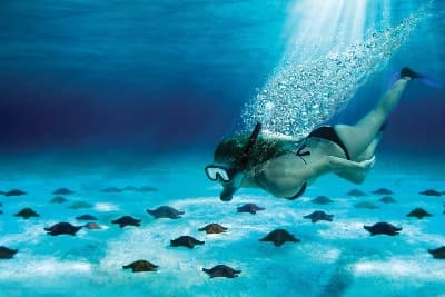 Tour a El Cielo Cozumel