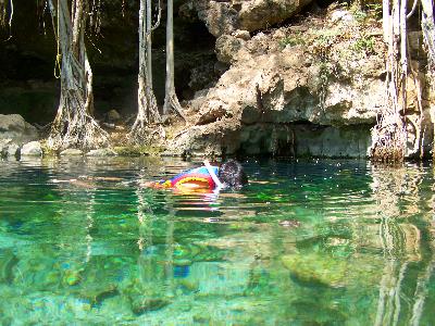 10 Cenotes Increibles en Yucatán