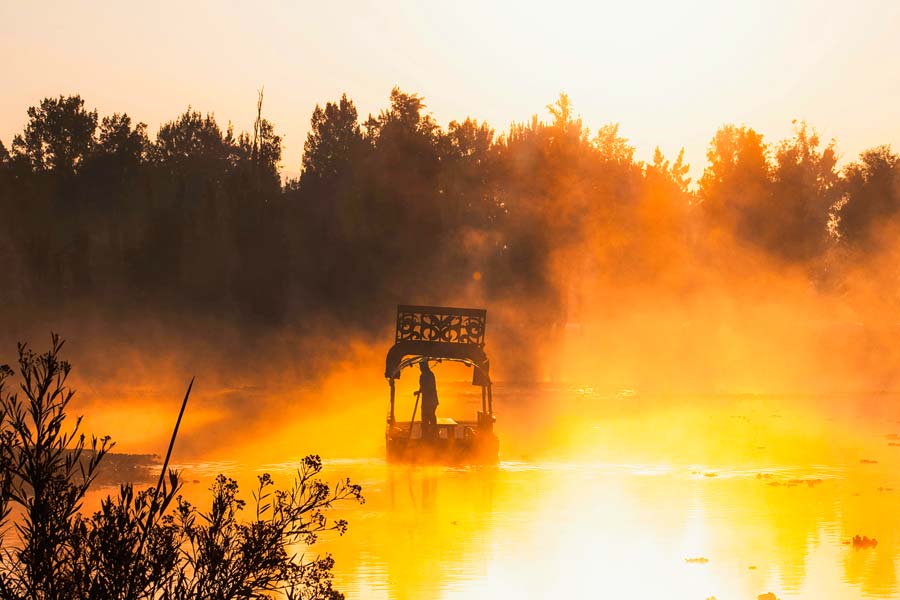 Trajineras en Xochimilco