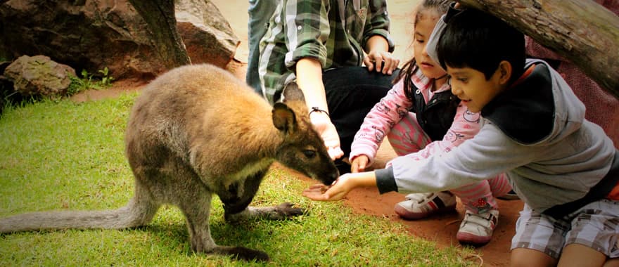 Africam Safari, Puebla