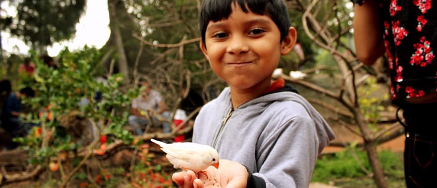 Africam Safari, Puebla
