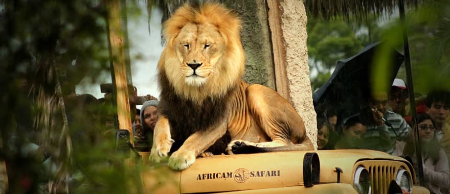 Africam Safari, Puebla